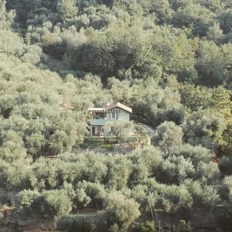 Hostal Terre Di Garlenda Exterior foto
